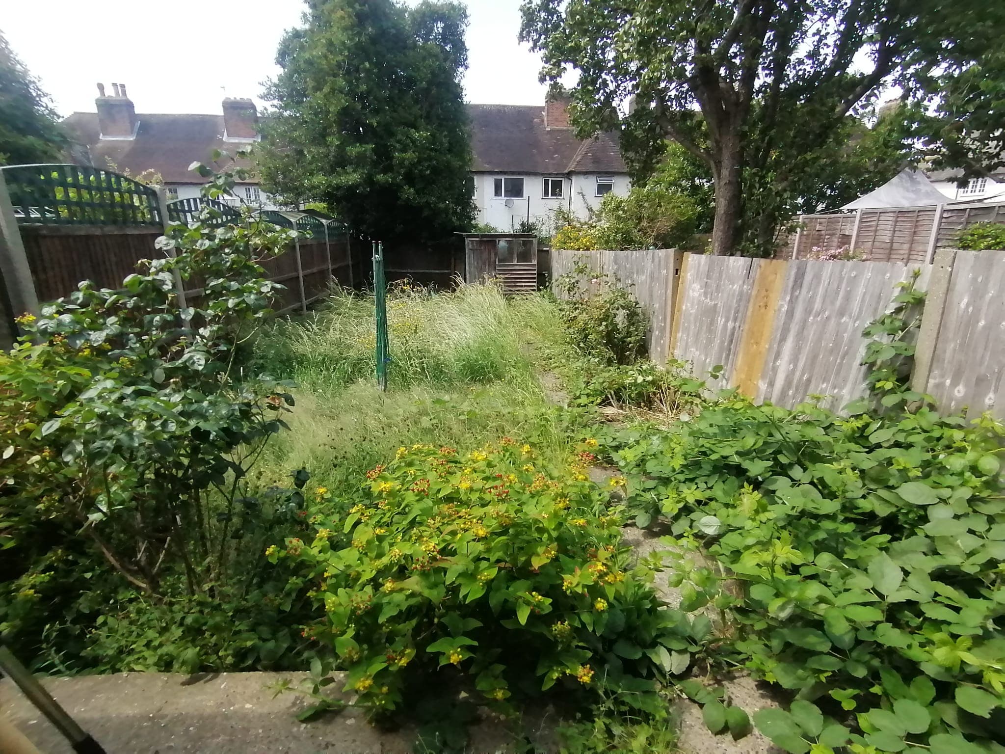 Image for Garden Transformation (before)